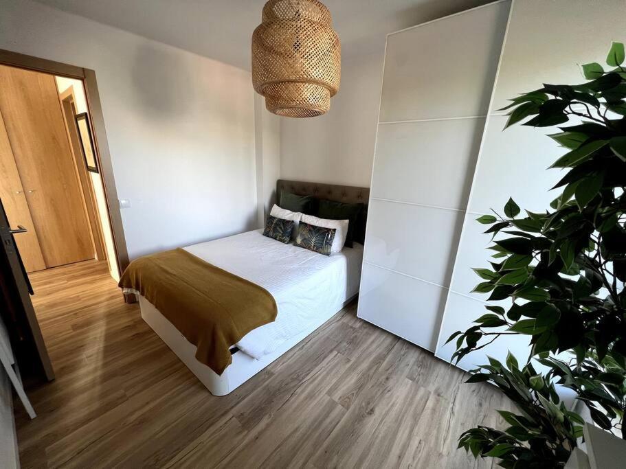 Ferienwohnung Penthouse Terraco De Coimbra Exterior foto